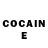 Cocaine Fish Scale Solomiia Butkovska