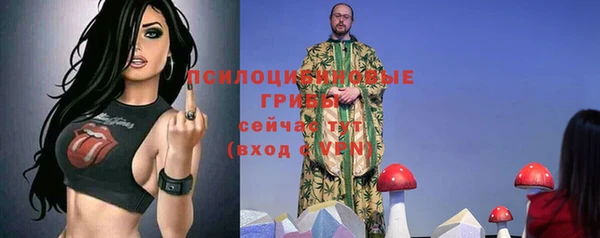 дурь Волосово