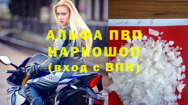 молекула духа Ростов