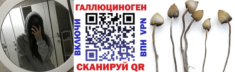 blacksprut ТОР  Белгород  Галлюциногенные грибы Magic Shrooms 